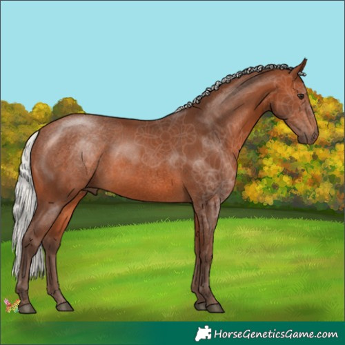 Horse Color:Silver Brown 