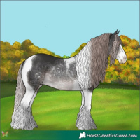 Horse Color:Platinum Liver Chestnut Splash Tobiano 