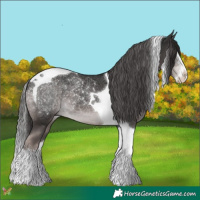 Horse Color:Platinum Liver Chestnut Splash Tobiano 