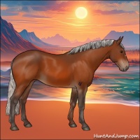 Horse Color:Silver Bay 