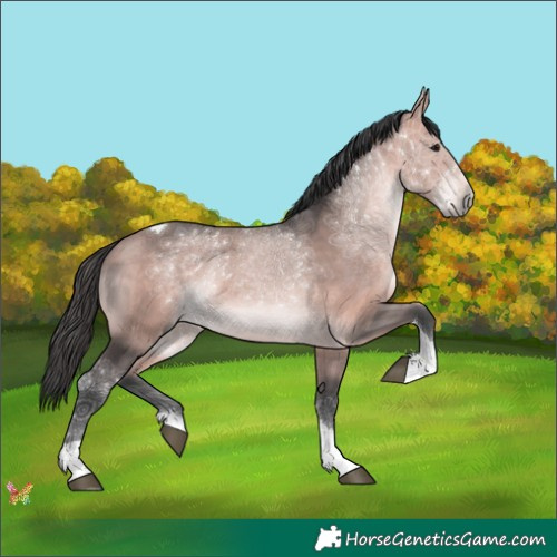 Horse Color:Platinum Bay Tobiano 