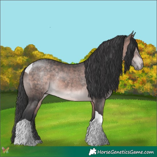 Horse Color:Platinum Bay Tobiano 