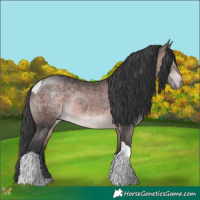 Horse Color:Platinum Bay Tobiano 