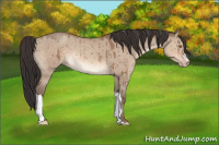 Horse Color:Sable Champagne Dun Brindle