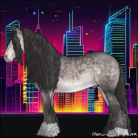 Horse Color:Platinum Buckskin 