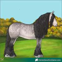 Horse Color:Platinum Buckskin 