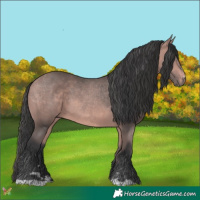 Horse Color:Platinum Bay