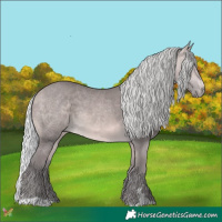 Horse Color:Platinum Silver Buckskin 