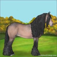 Horse Color:Platinum Bay
