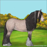 Horse Color:Platinum Buckskin Tobiano 