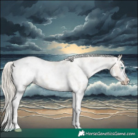Horse Color:Chocolate Palomino Pearl Sabino Splash Snowcap Rabicano 