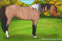 Horse Color:Bay Roan Tobiano 