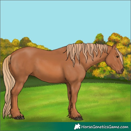 Horse Color:Chestnut 