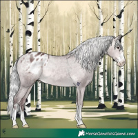 Horse Color:Platinum Chocolate Silver Buckskin Varnish 