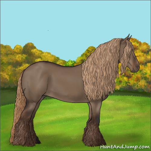 Horse Color:Liver Red Dun Rabicano 