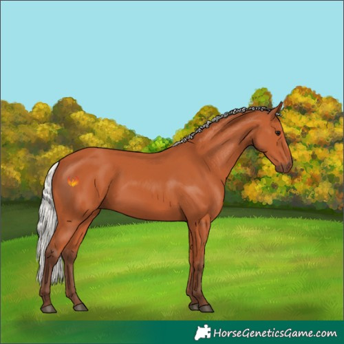 Horse Color:Silver Bay 