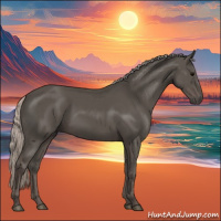Horse Color:Silver Black 
