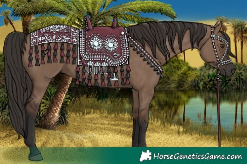 Horse Color:Liver Red Dun Rabicano 