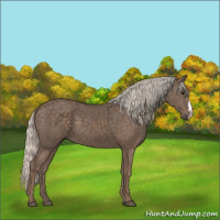 Horse Color:Silver Black 