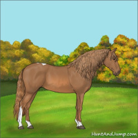 Horse Color:Chestnut Tobiano 