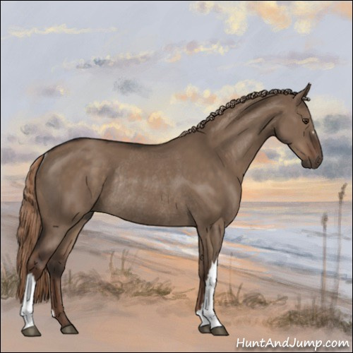 Horse Color:Liver Red Dun Rabicano 