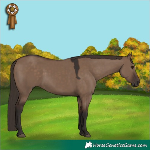 Horse Color:Liver Red Dun Rabicano 