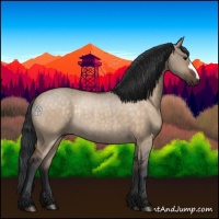 Horse Color:Silver Brown Rabicano 