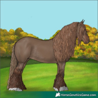Horse Color:Liver Red Dun Rabicano 