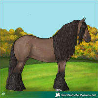 Horse Color:Liver Red Dun Rabicano 