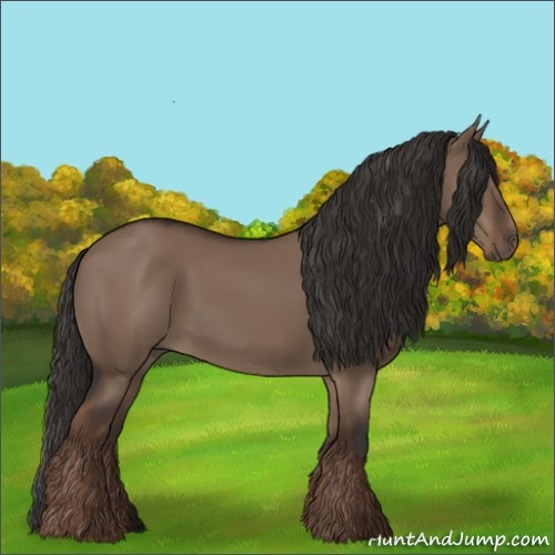 Horse Color:Liver Red Dun Rabicano 