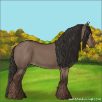 Horse Color:Liver Red Dun Rabicano