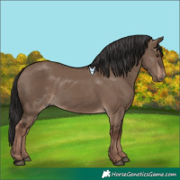Horse Color:Liver Red Dun Rabicano 