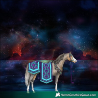 Horse Color:Buckskin Appaloosa