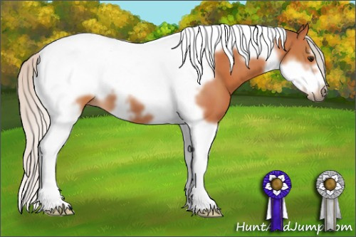 Horse Color:Silver Bay Tobiano Frame
