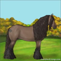 Horse Color:Liver Red Dun Rabicano 