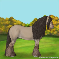 Horse Color:Liver Red Dun Rabicano 