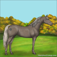 Horse Color:Silver Black 