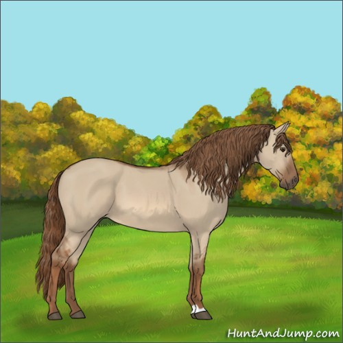 Horse Color:Red Dun 
