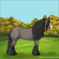 Horse Color:Grullo Splash 