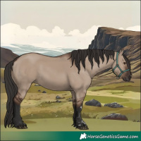 Horse Color:Liver Red Dun Rabicano 