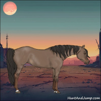 Horse Color:Liver Red Dun Rabicano 