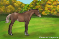 Horse Color:Gray Silver Black Pearl Tobiano 