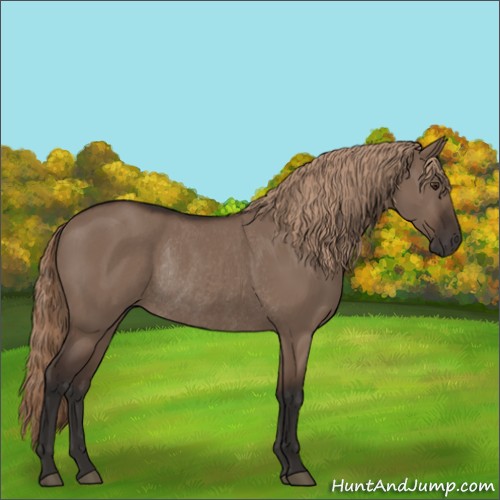 Horse Color:Liver Red Dun Rabicano