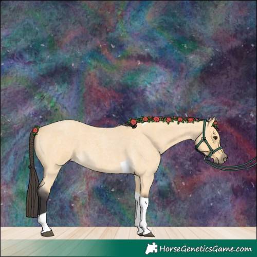 Horse Color:Buckskin Roan Tobiano 