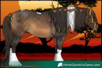 Horse Color:Buckskin Tobiano 