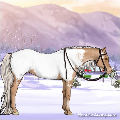 Horse Color:Silver Black Pearl Appaloosa 