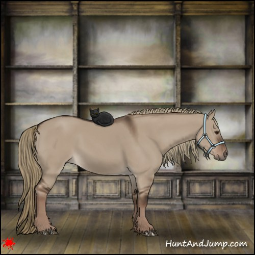 Horse Color:Liver Red Dun Rabicano 