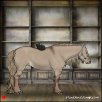 Horse Color:Liver Red Dun Rabicano