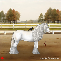 Horse Color:Palomino Roan Dun Splash Frame Varnish 
