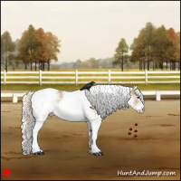 Horse Color:White Spotted Silver Smoky Grullo Appaloosa